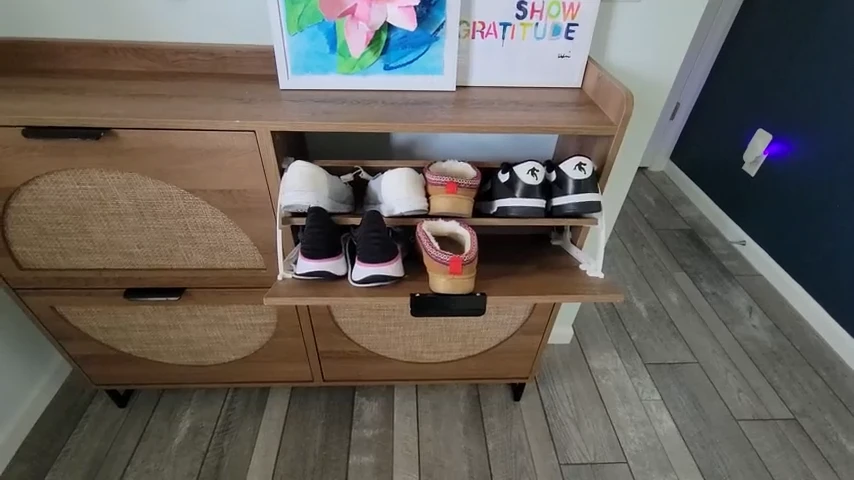 Maupvit Rattan Shoe Storage Cabinet